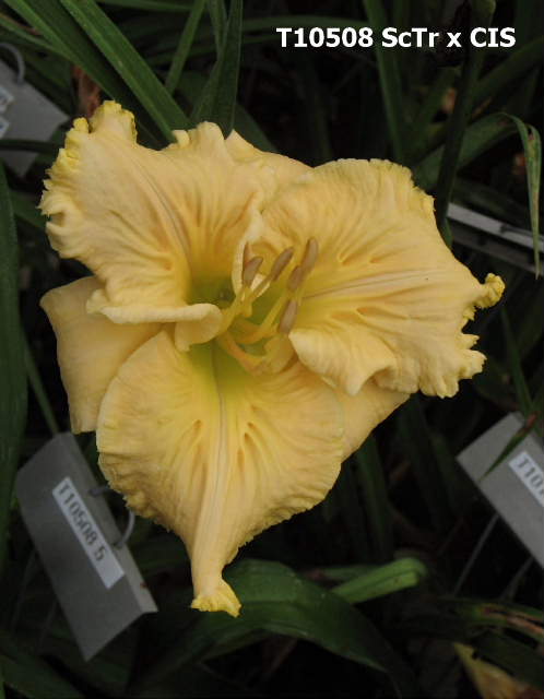 2012_Tets/T2409_DA_BR_3_51111.JPG