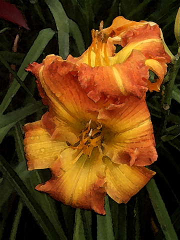 Just_Prints/SPACECOAST-STARBURST-WC-DB.JPG