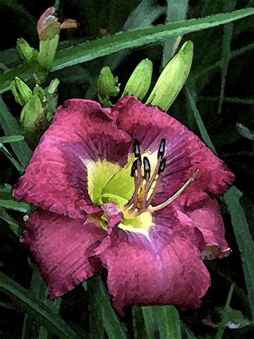 Just_Prints/SPACECOAST-STARBURST-WC-DB.JPG