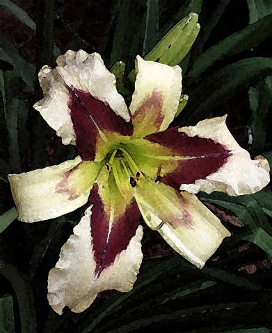 Just_Prints/SPACECOAST-STARBURST-WC-DB.JPG