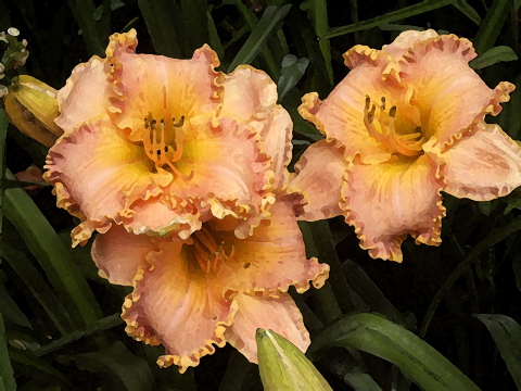 Just_Prints/SPACECOAST-STARBURST-WC-DB.JPG