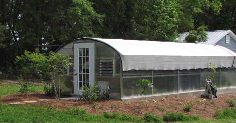 greenhouse.jpg